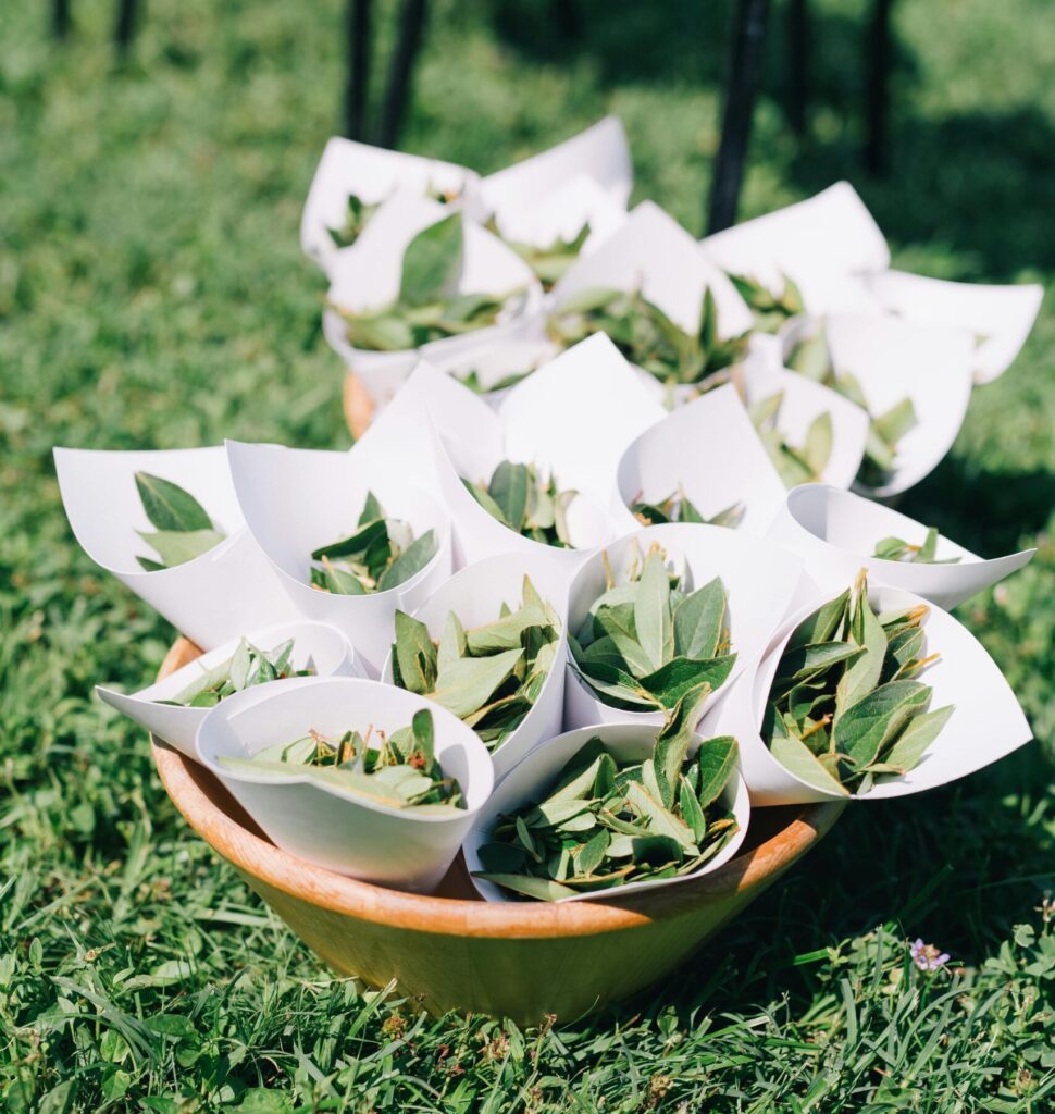 Conos blancos de papel rellenos con hojas verdes naturales sobre césped, listos para ser usados en una ceremonia de boda al aire libre