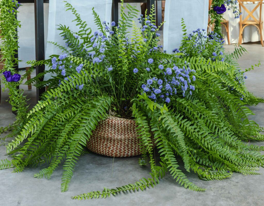 Decoración de mesa de boda con follaje verde, helechos y flores lilas, ideal para crear un ambiente elegante y fresco en climas cálidos.