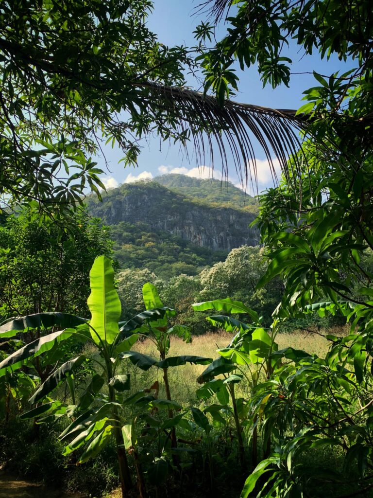 Paisaje natural con montaña y vegetación tropical en Tlacotepec, Oaxaca